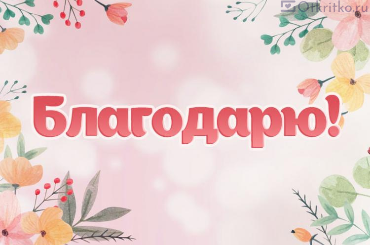 Благодарю картинки, красивые картинки и открытки с надписью «‎Благодарю»‎