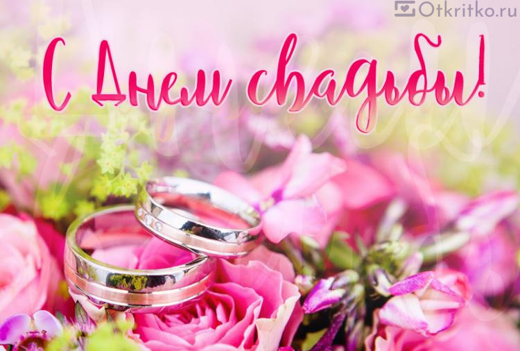 Картинка с кольцами и цветами для поздравления мужа и жены с Днем Свадьбы