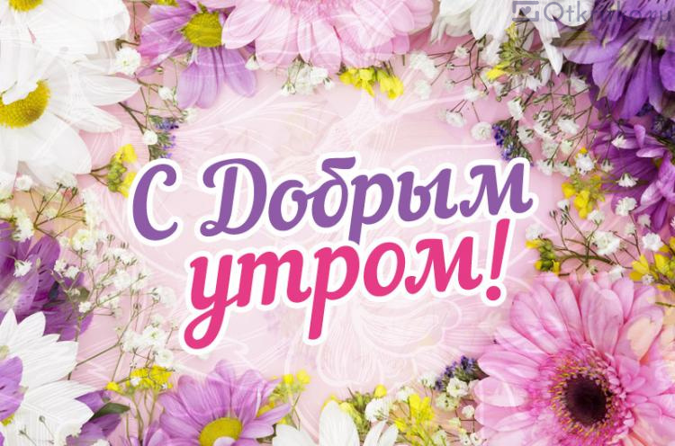 Открытка доброе утро с цветами