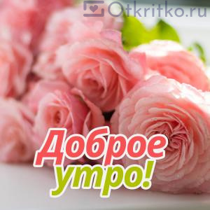 Открытка с розовыми цветочками и пожеланием Доброго Утра 300x300
