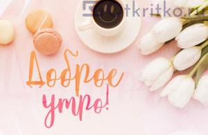 Картинка Доброе Утро, с красивым белыми тюльпанами, разноцветными печеньками макарон и чашечкой кофе