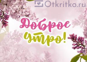 Красивая картинка с сиренью
