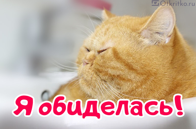 Картинка Я обиделась